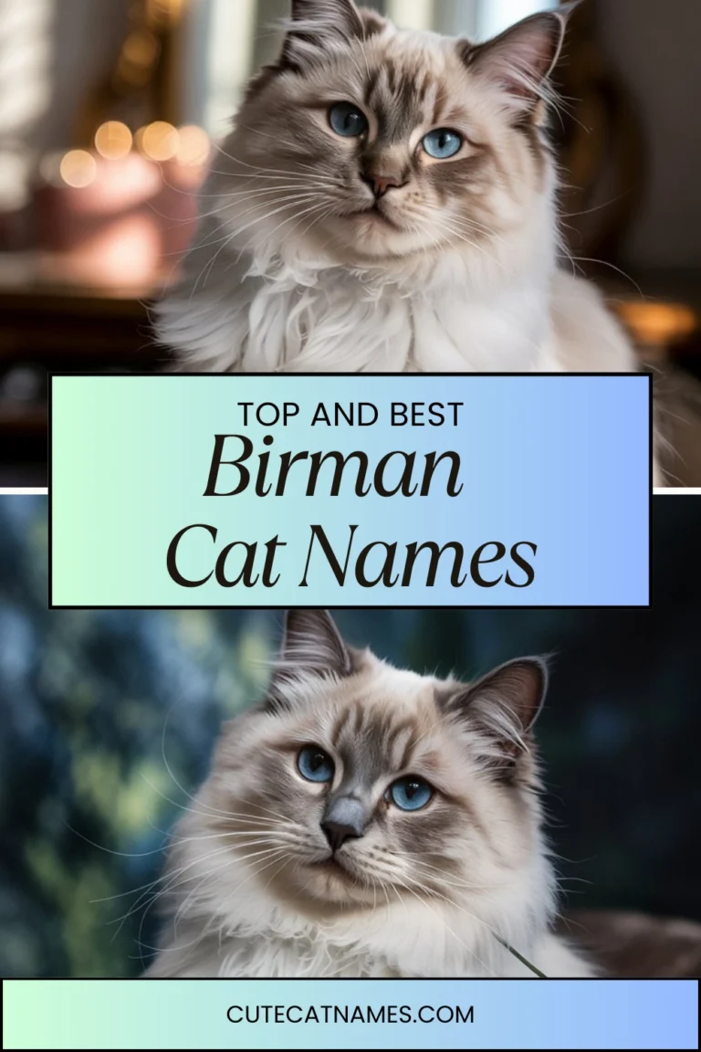 Birman Cat Names