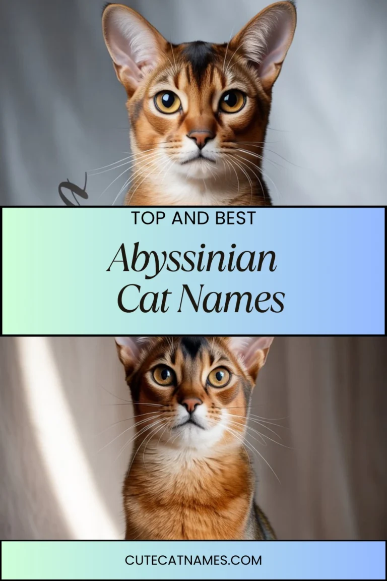 Abyssinian Cat Names