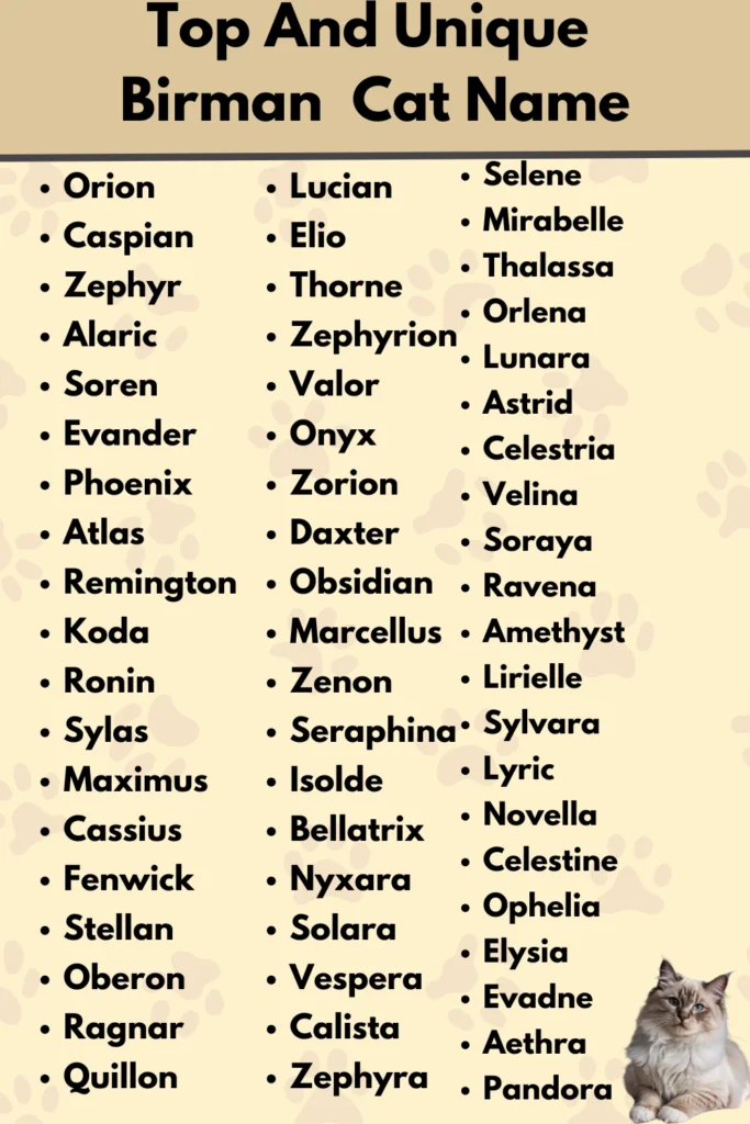 Top And Unique
Birman Cat Name