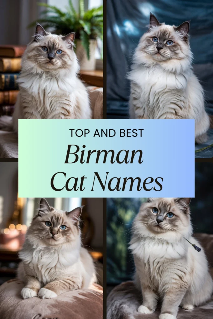 Birman Cat Names