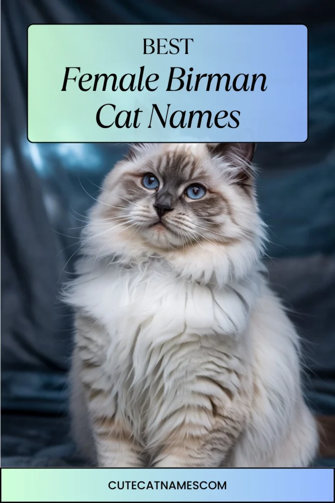 Female Birman Cat Names