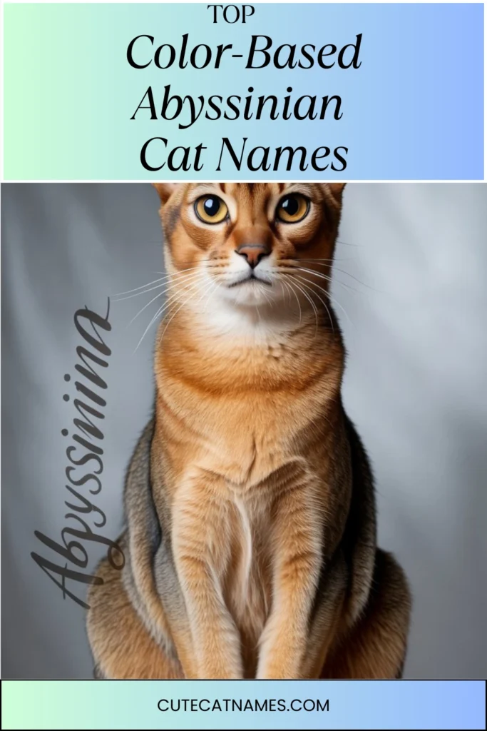 Color-Based Abyssinian Cat Names