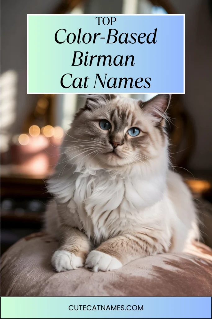 Color-Based Birman Cat Names