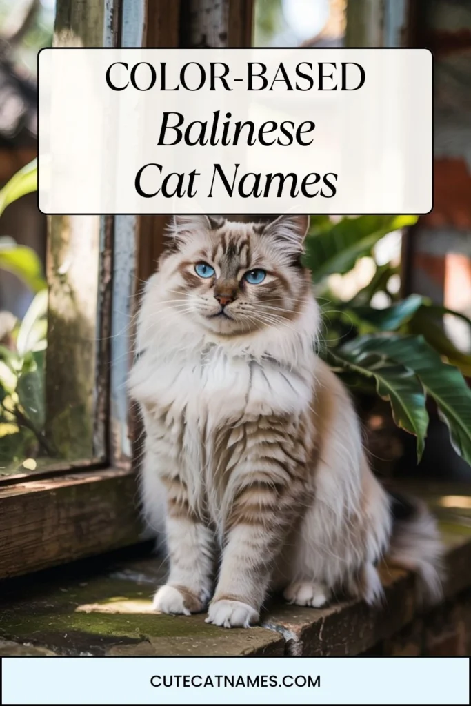 Color-Based Balinese Cat Names