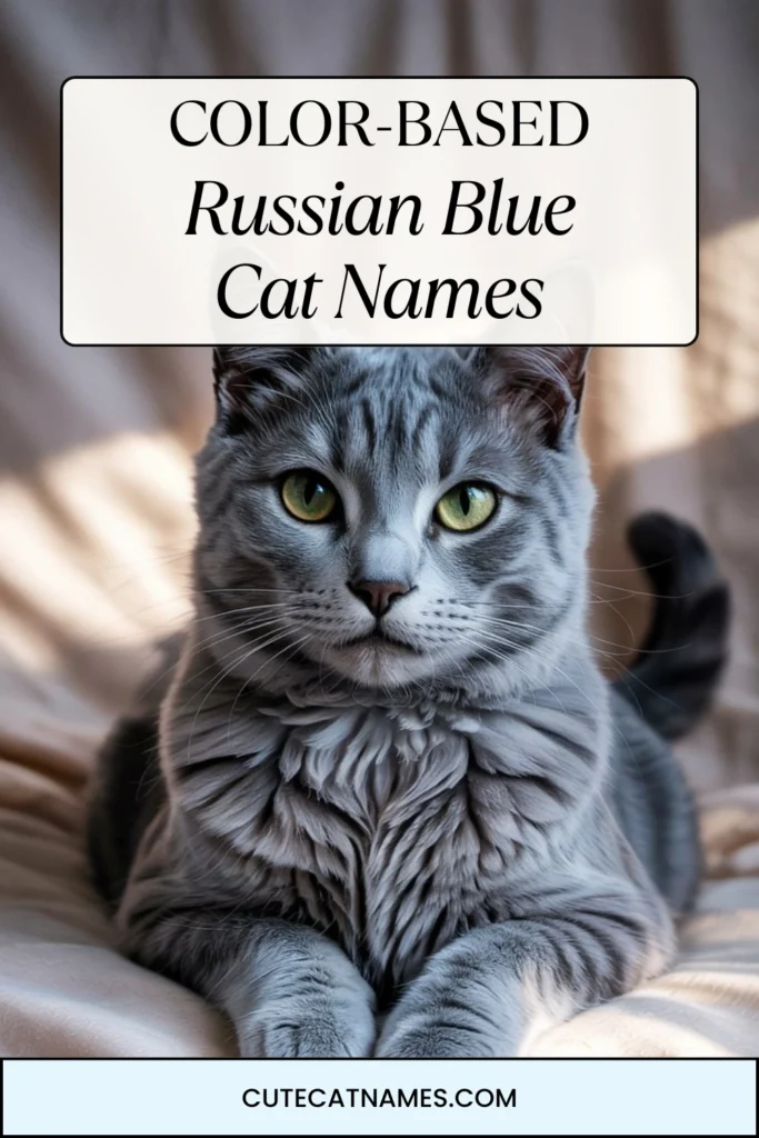 Color-Based Russian Blue Cat Names