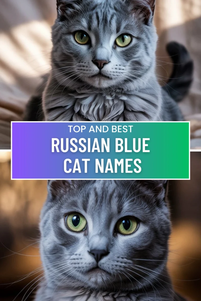 Elegant Russian Blue Cat Names
