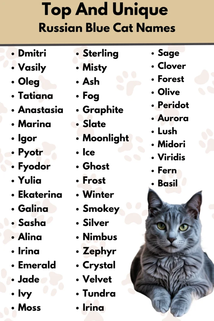 Top And Unique 
Russian Blue Cat Names