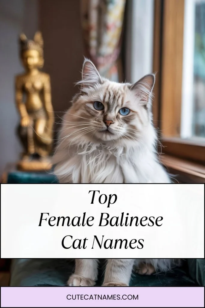 Female Balinese Cat Names