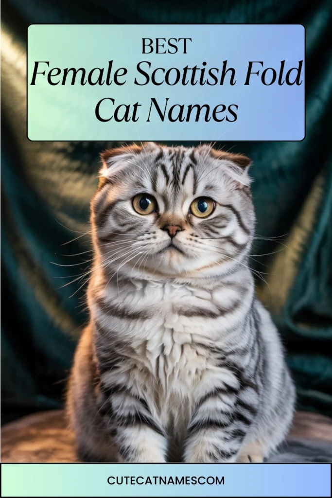 Female Scottish Fold Cat Names