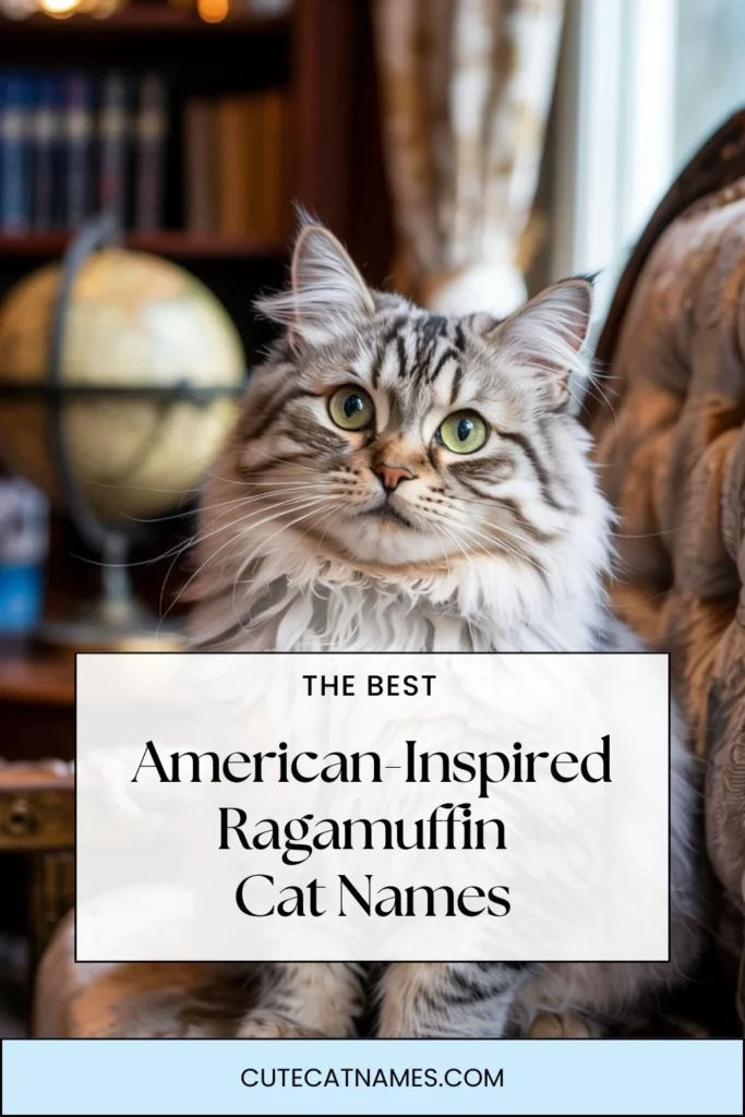 American-Inspired Names for Ragamuffin Cats