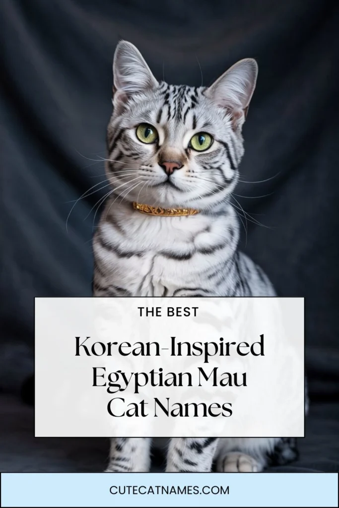 Korean-Inspired Egyptian Mau Cat Names
