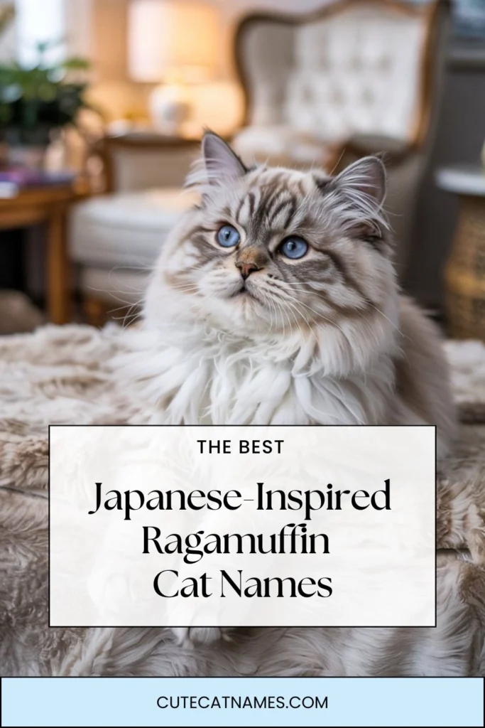 Japanese-Inspired Ragamuffin Cat Names