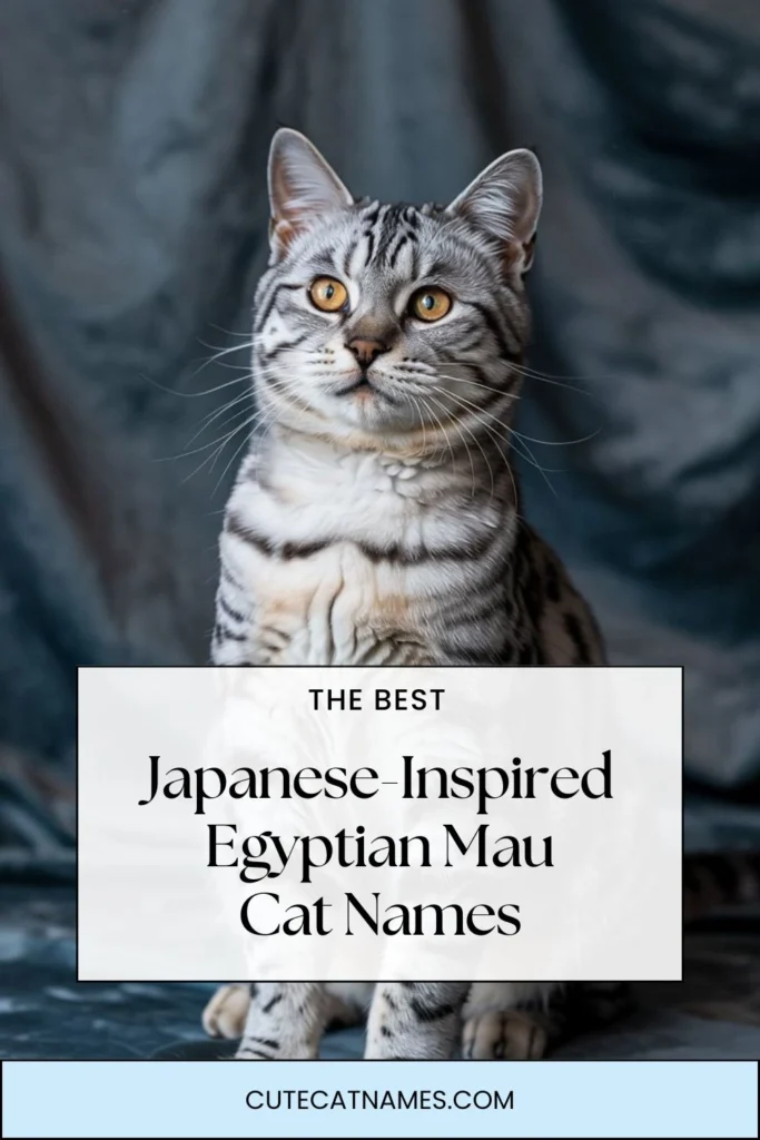 Japanese-Inspired Egyptian Mau Cat Names