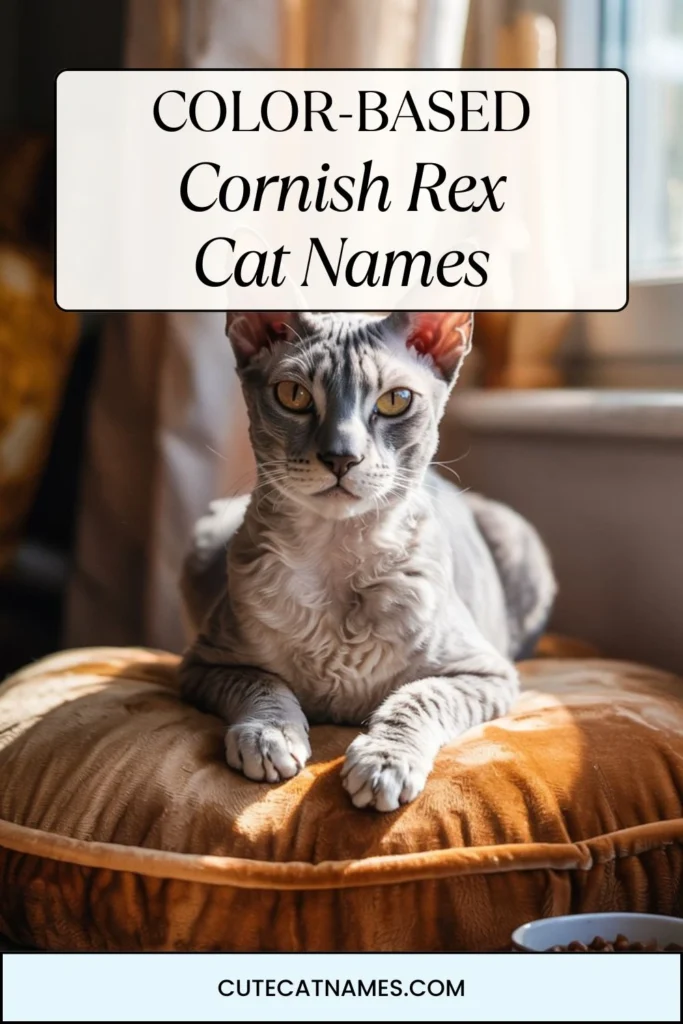 Color-Based Cornish Rex Cat Names