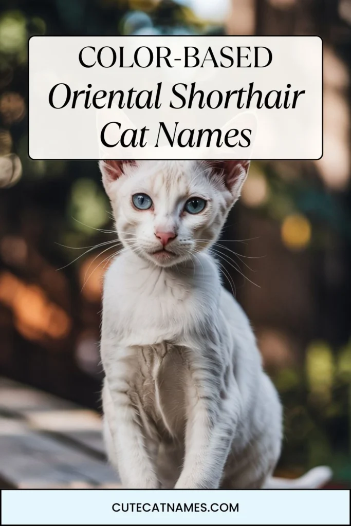 Color-Based Oriental Shorthair Cat Names