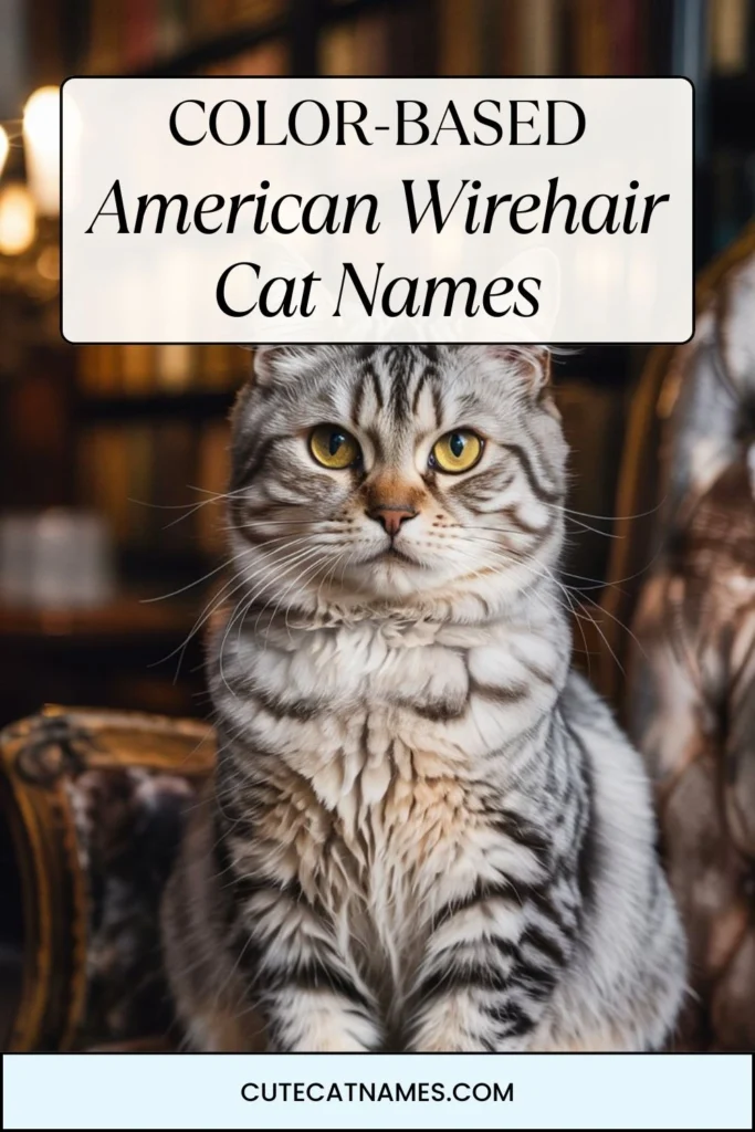 Color-Based American Wirehair Cat Names
