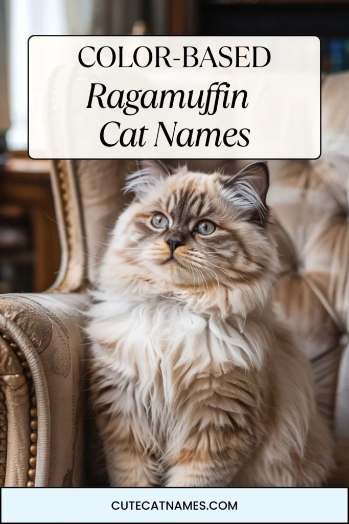 Color-Based Ragamuffin Cat Names