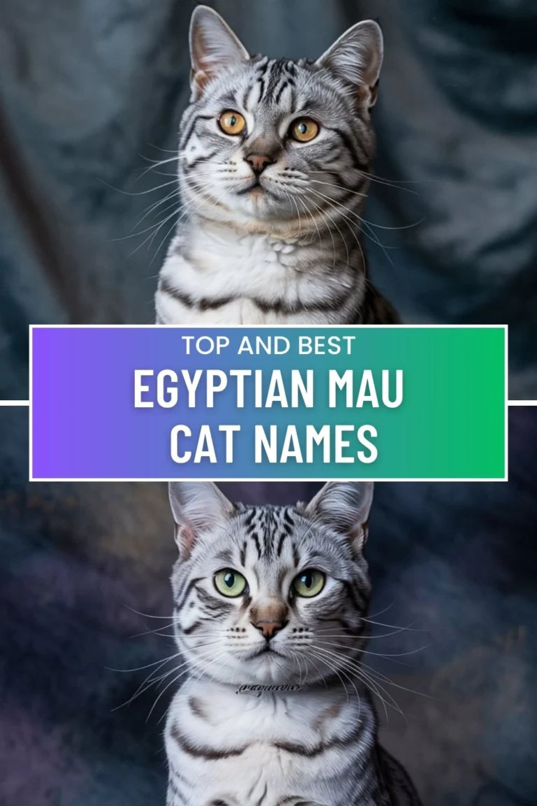 Egyptian Mau Cat Names