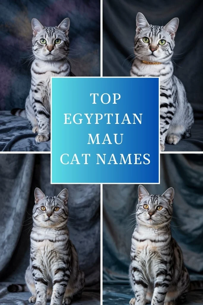 Egyptian Mau Cat Names