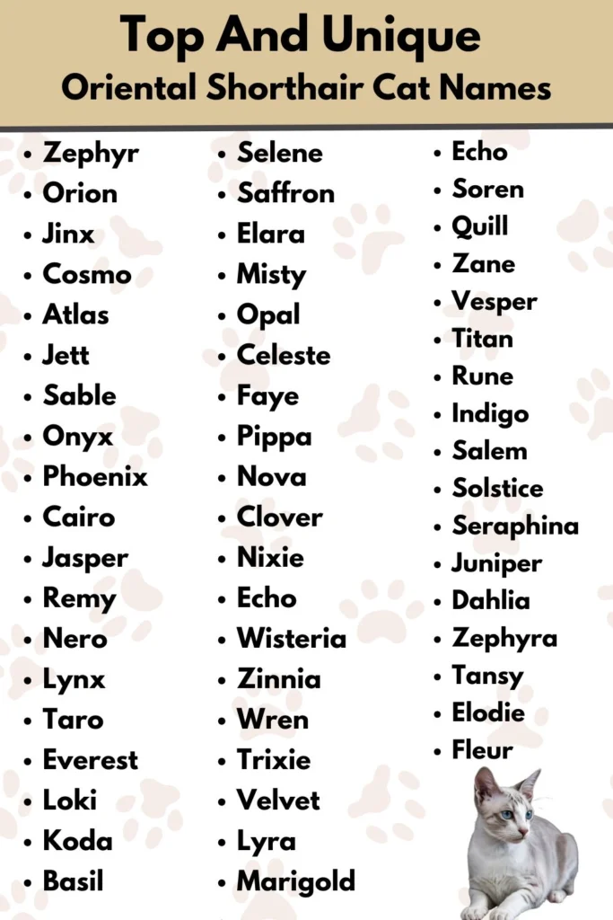 Top And Unique 
Oriental Shorthair Cat Names