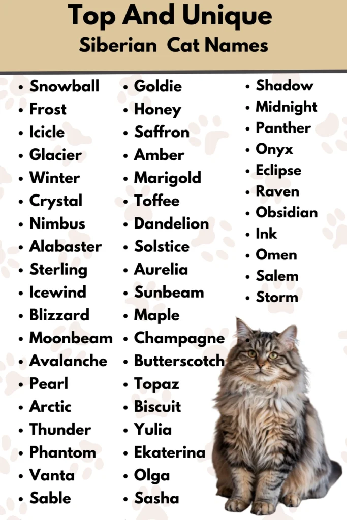 Top And Unique 
Siberian  Cat Names