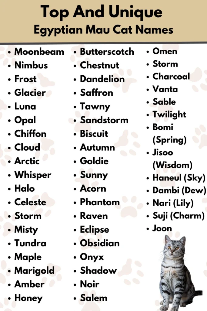 Top And Unique 
Egyptian Mau Cat Names