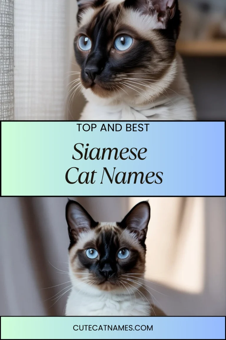 Siamese Cat Names