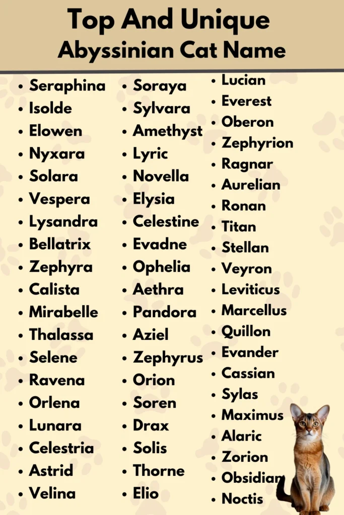 Top And Unique
Abyssinian Cat Name