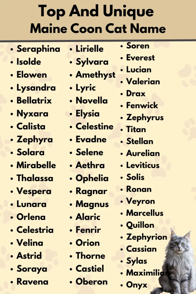 Top And Unique 
Maine Coon Cat Name