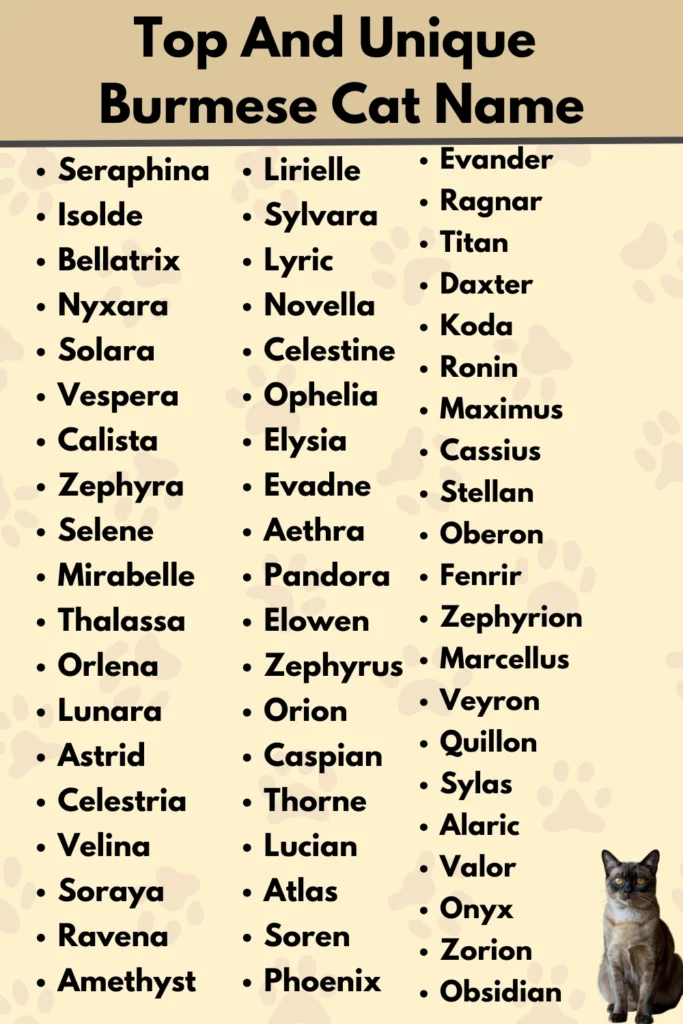 Top And Unique 
Burmese Cat Name