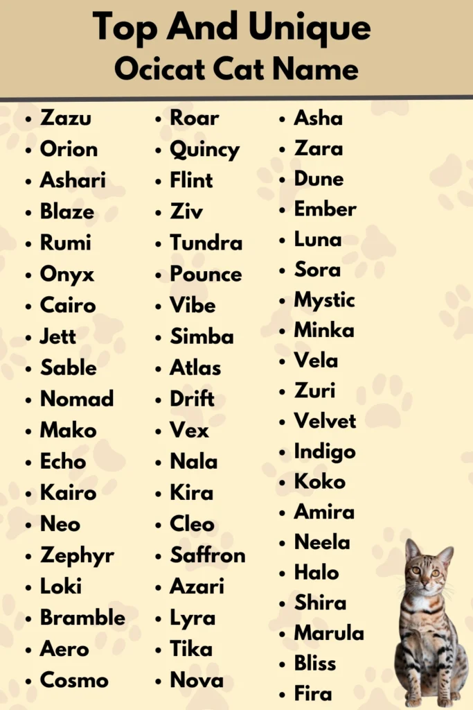 Top And Unique 
Ocicat Cat Name