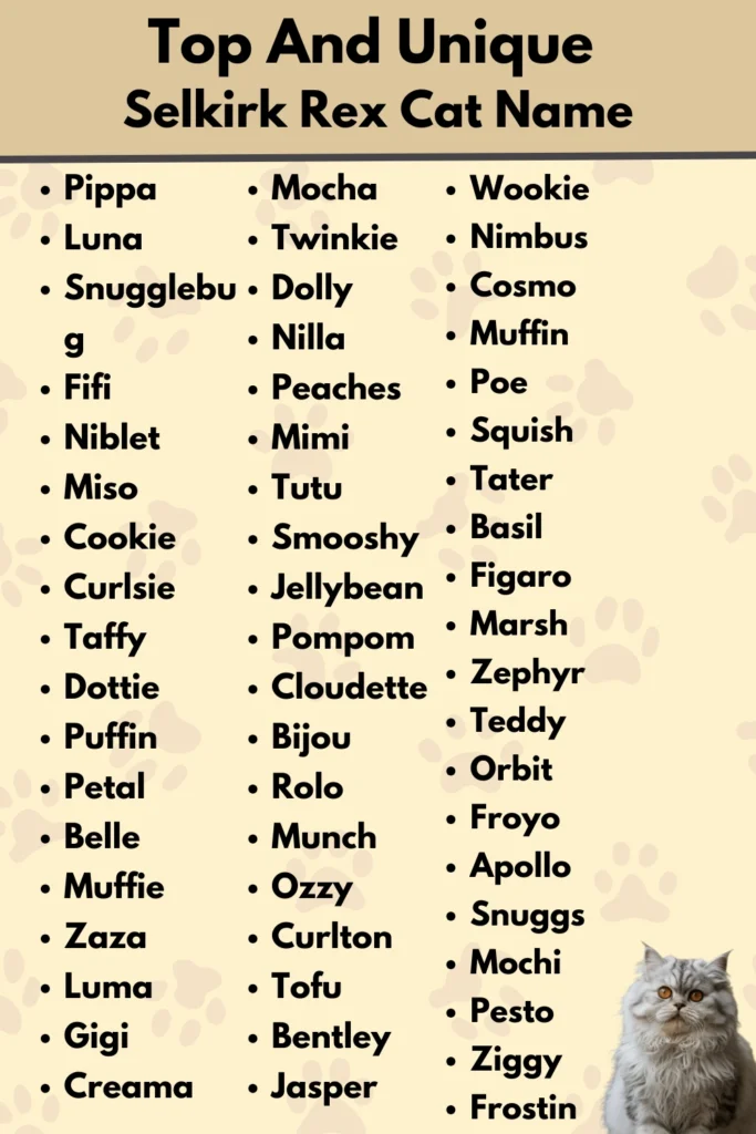 Top And Unique
Selkirk Rex Cat Name