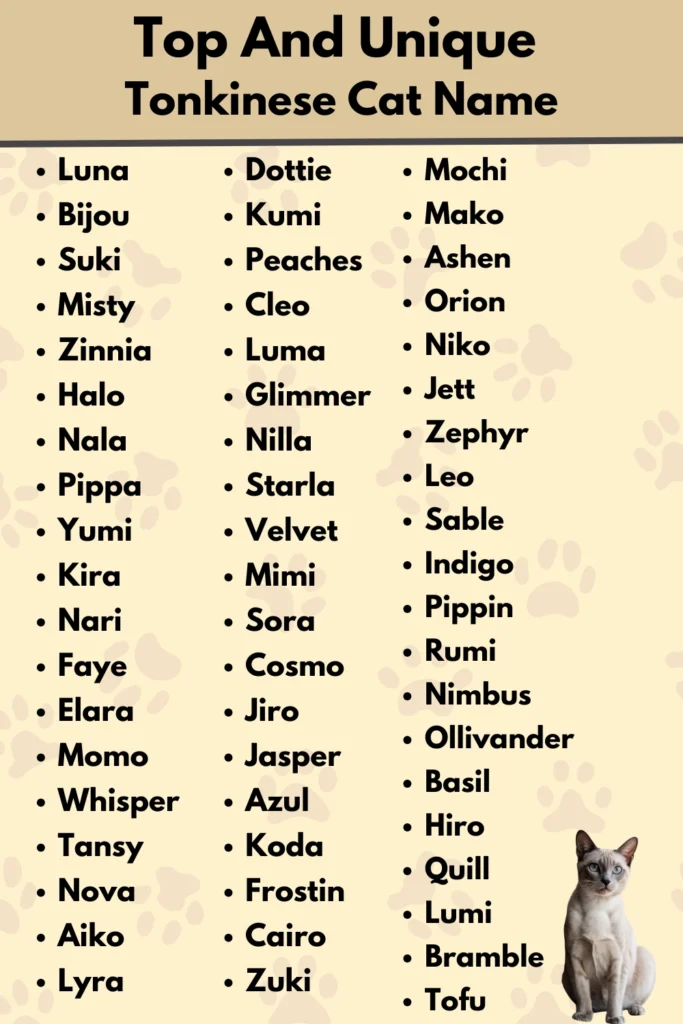 Top And Unique 
Tonkinese Cat Name