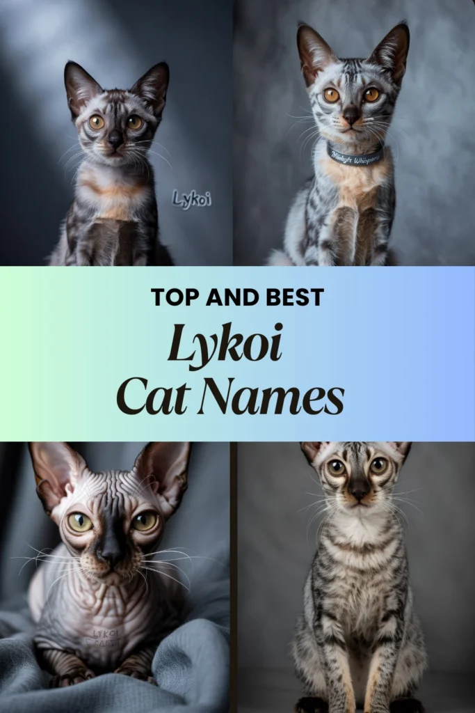 Lykoi Cat Names