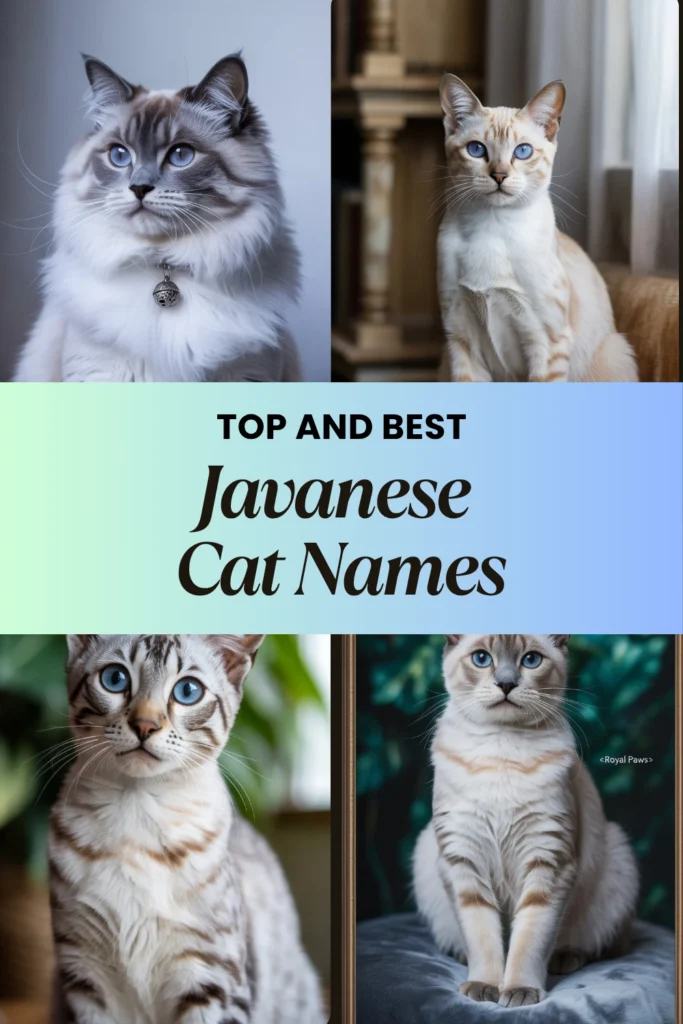 Javanese Cat Names