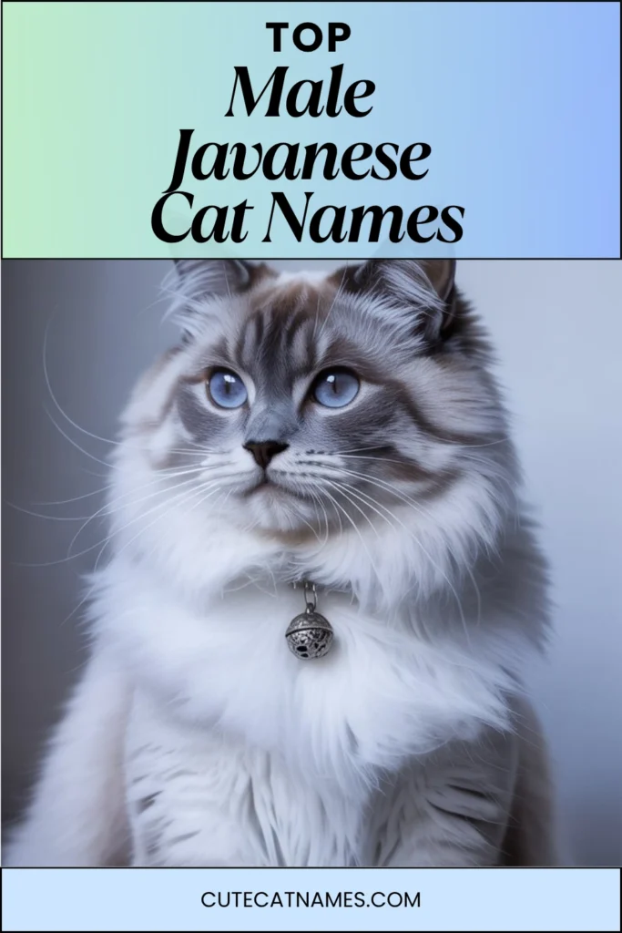 Male Javanese Cat Names