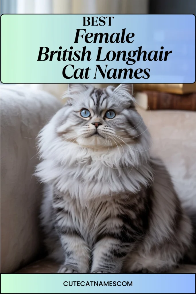 Female British Longhair Cat Names