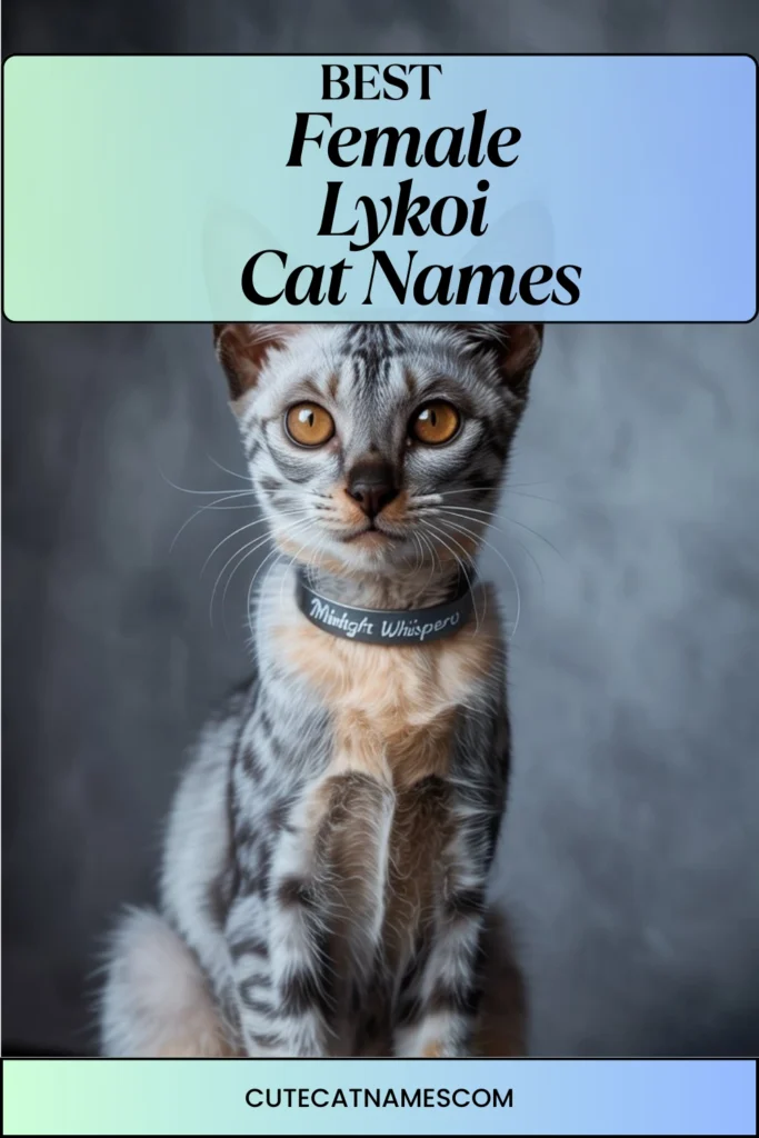Female Lykoi Cat Names