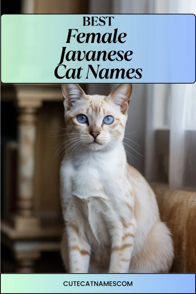 Female Javanese Cat Names