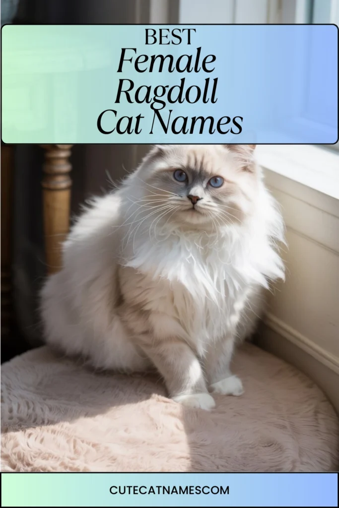 Female Ragdoll Cat Names