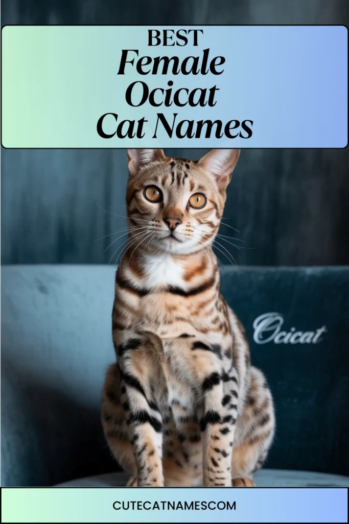 Female Ocicat Cat Names
