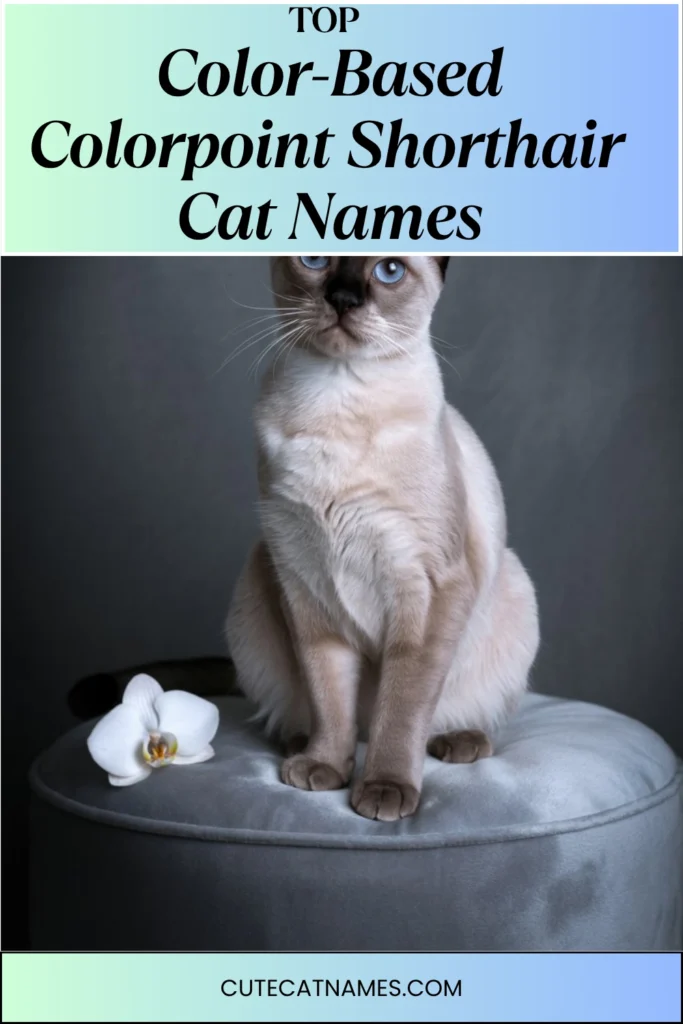 Color-Themed Colorpoint Names