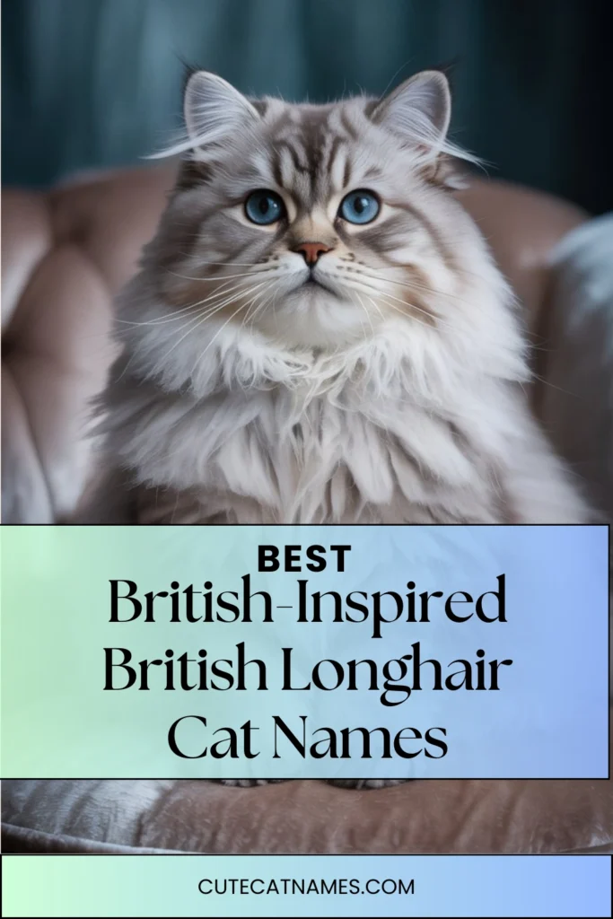 British-Inspired Names for British Longhair Cats