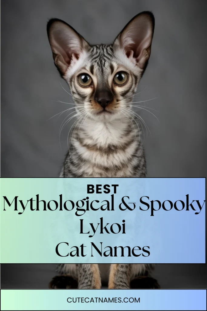 Mythological & Spooky Names for Lykoi Cats
