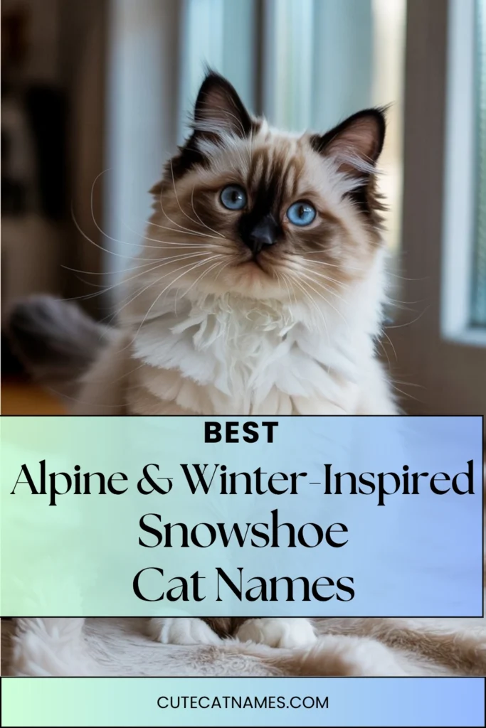 Alpine & Winter-Inspired Names
