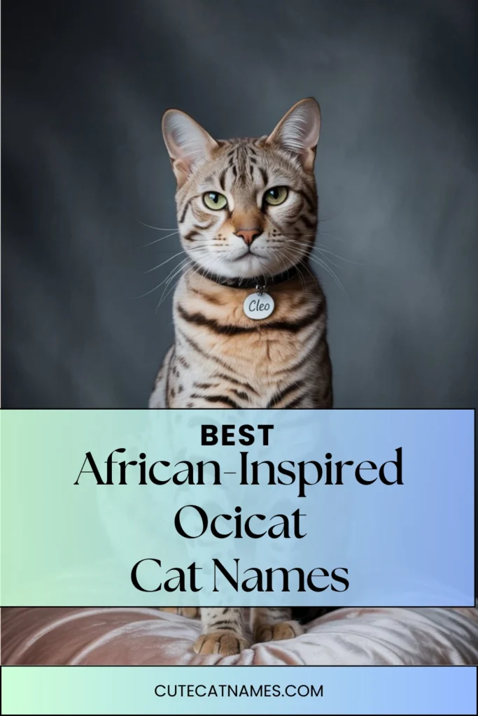 African-Inspired Ocicat Names