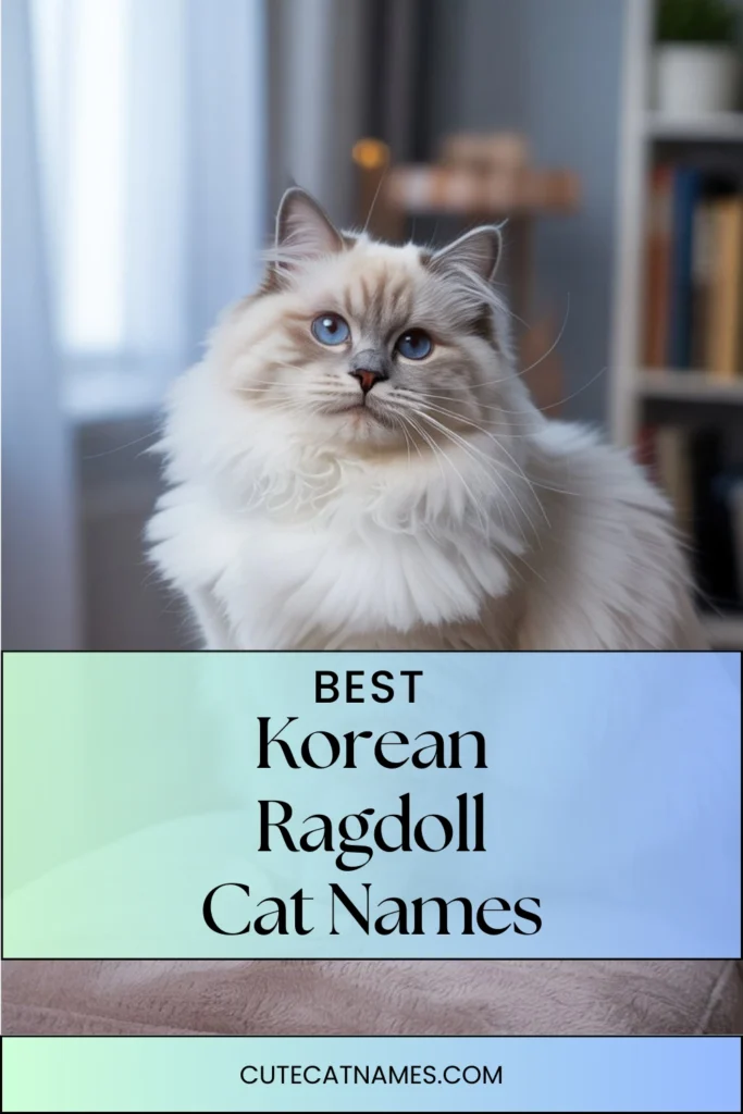 Korean Ragdoll Cat Names