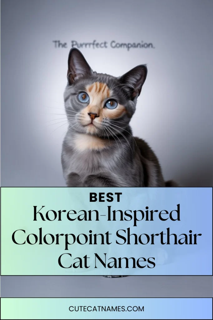 Korean-Inspired Colorpoint Names