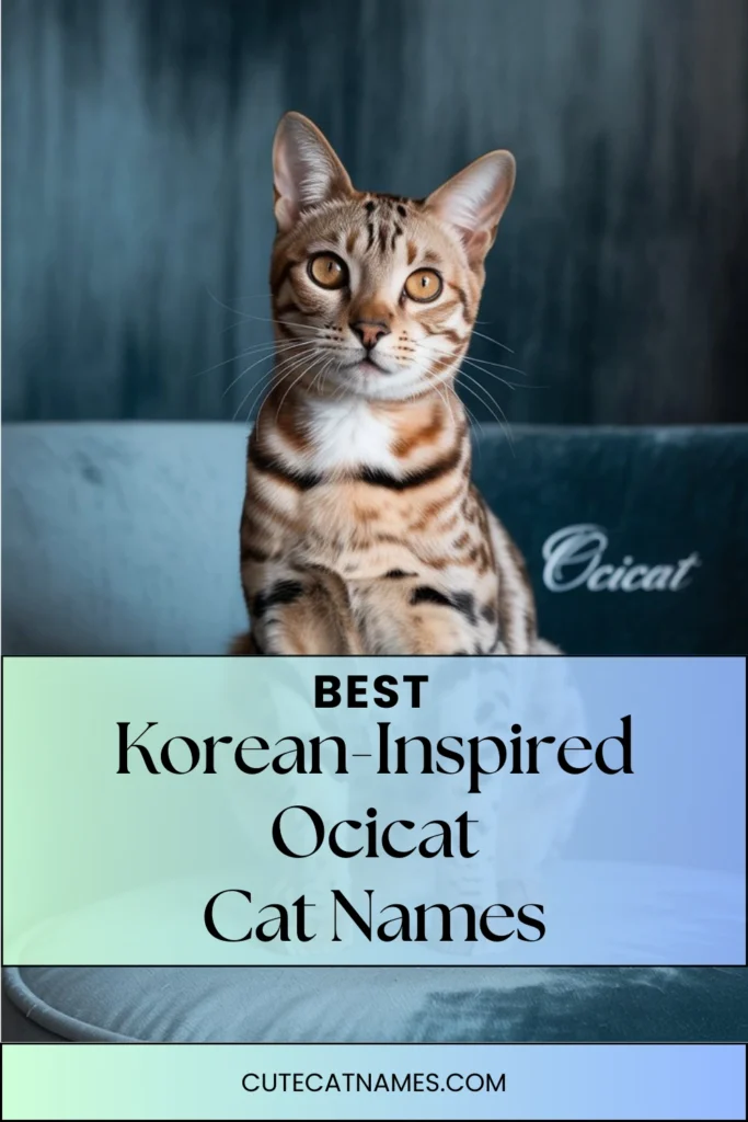 Korean-Inspired Ocicat Names