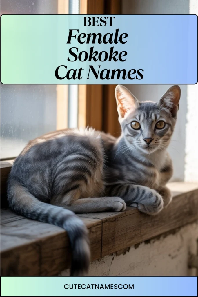 Female Sokoke Cat Names